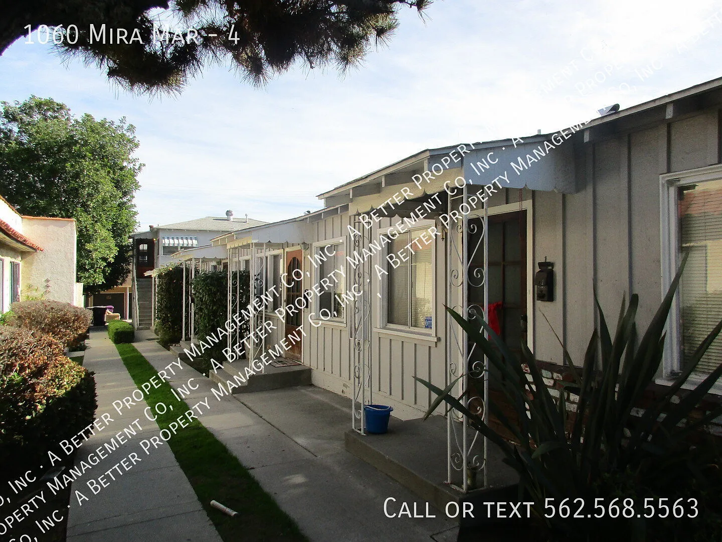 Rec Park Area 1 bed with PLANK floors & onsite laundry - Garage Waiting List — Photo 2