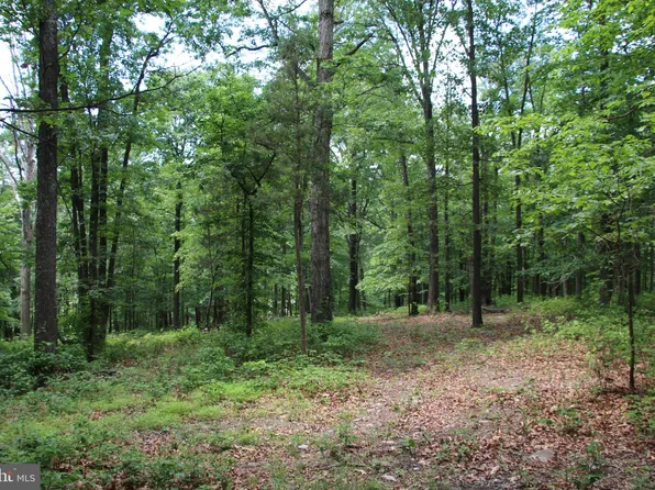 Gough Rd, Winchester, VA 22602