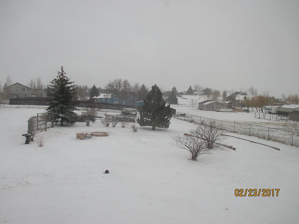 North yard