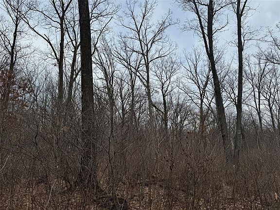 5th image of OOO MAPLE