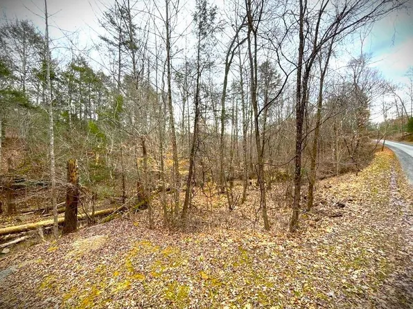 Laurel Cir, Lewisburg, WV 24901