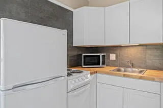 1 bed, 1.0 bath, 500 sqft, $3,300 — Photo 4