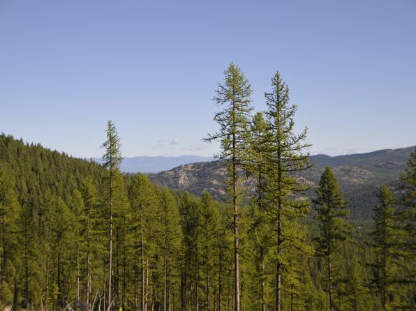 Nhn Coon Hollow Road Dave, Kila, MT 59920