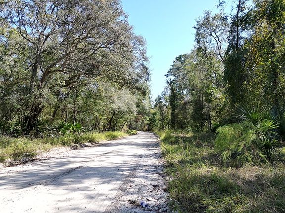 5th image of 123 SE Suwannee Trl