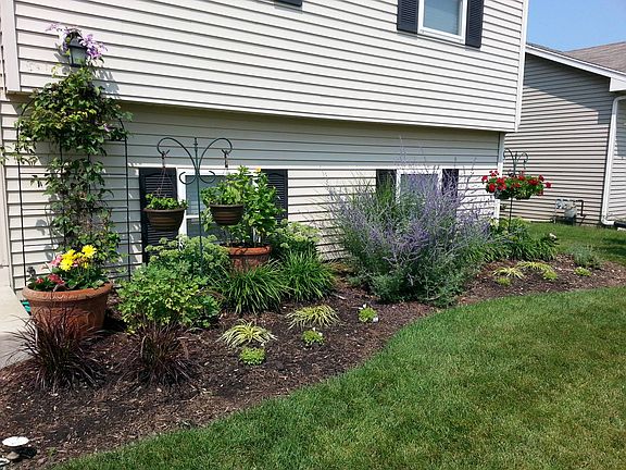 Front Perennials in Summer