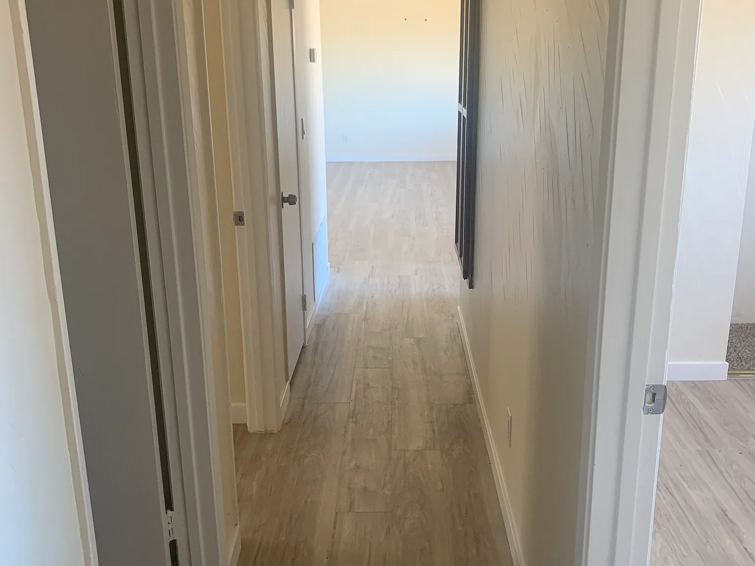 4 bed, 1450 sqft, $3,800 — Photo 3