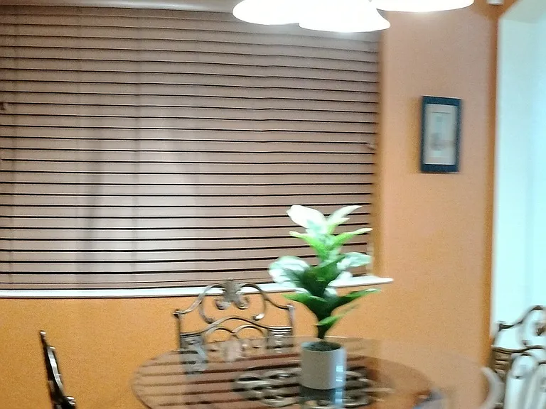 Dining to living area