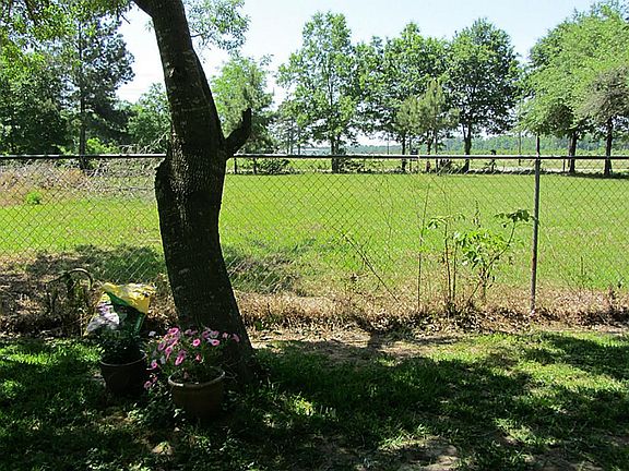 Big Trees for shade and lots of Space!