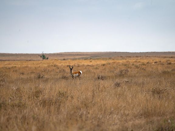 5th image of 0 CR 90 140 AC