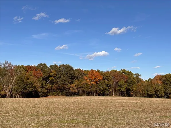 4/ACRE S Ranch Rd, Wright City, MO 63390