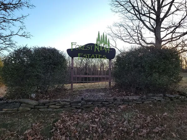 LOT 6 Bob Roy Dr, Clever, MO 65631