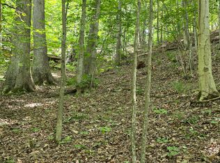 0 Ravens Ridge Rd LOT H, Pearisburg, VA 24134