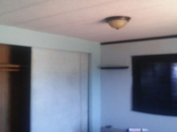 Back Bedroom