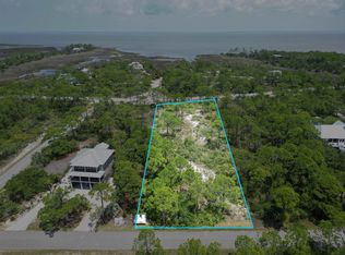 1460 Blueberry Rd, Saint George Island, FL 32328