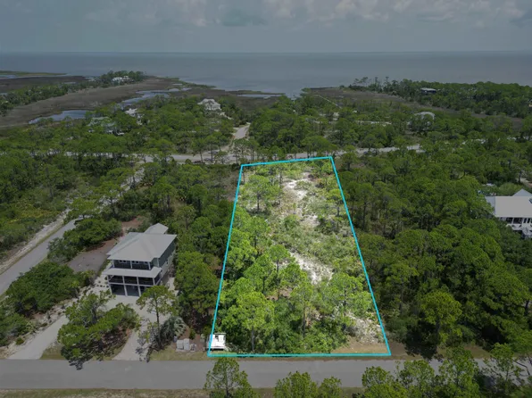 1460 Blueberry Rd, Saint George Island, FL 32328