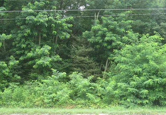 2nd image of 725 Wellons Dr