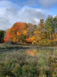 Hidden Creek Trl #C, Hamilton, MI, 49419