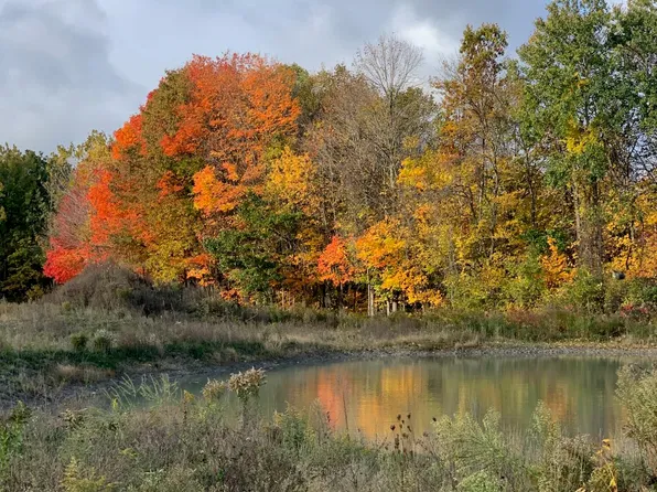 Hidden Creek Trl #C, Hamilton, MI 49419