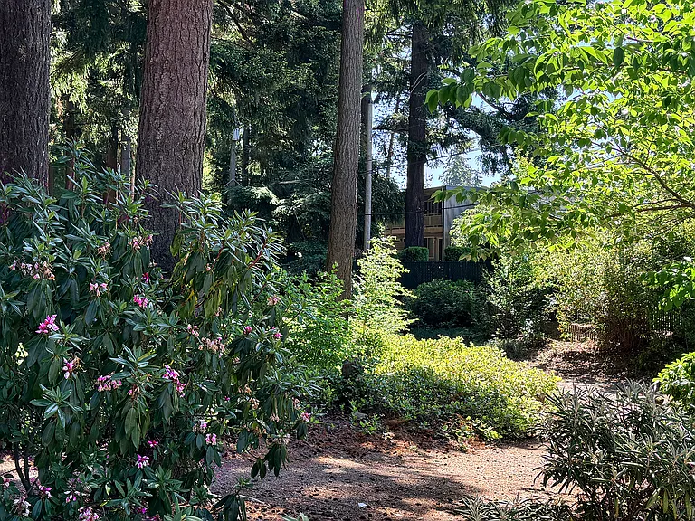 Beautiful public park with a playground and walking trails located adjacent to the property.