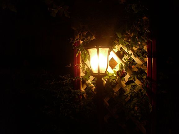 1415 Grant Blvd Syracuse NY "Rose Arbor Light"