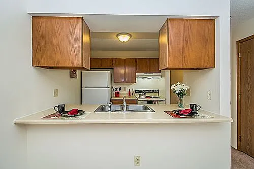 Classic kitchen