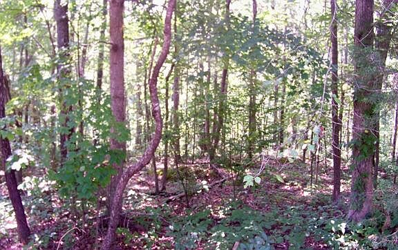 5th image of 12 Trotters Cir Lot 12