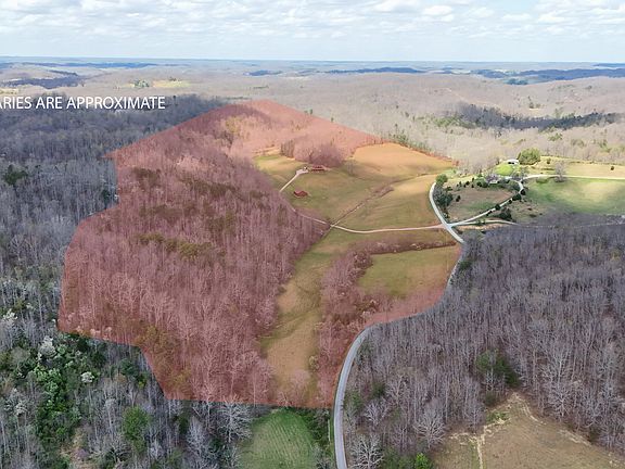 4th image of 1149 Kelly Branch Rd