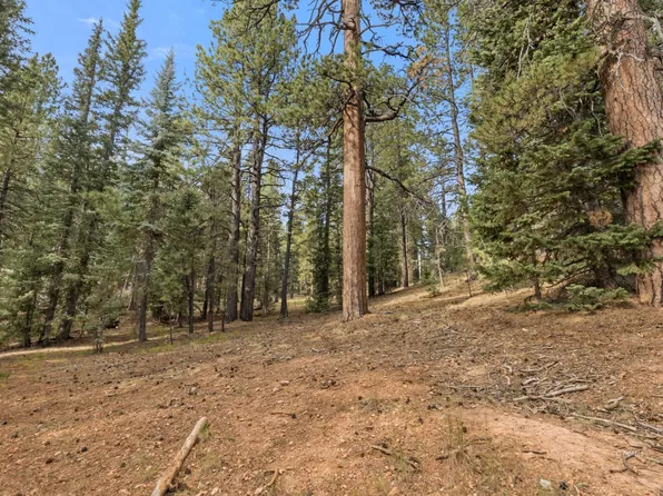 20 N Pinetree Trl, Duck Creek Village, UT 84762