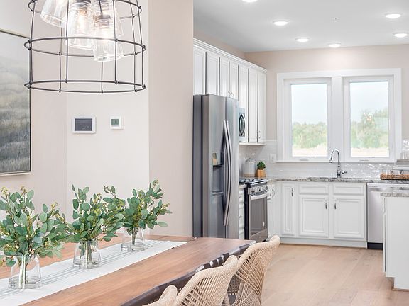 Model Representation