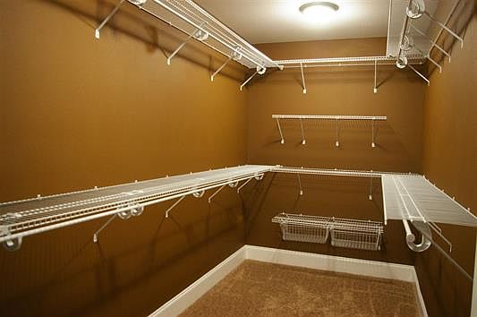 4th image of Viburnum Ct