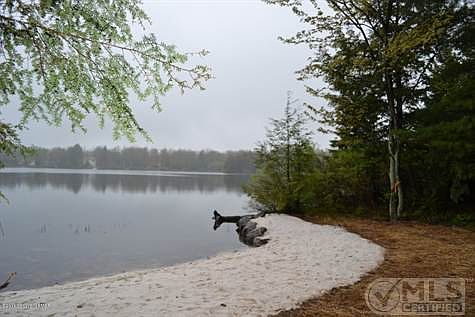 Lake view
