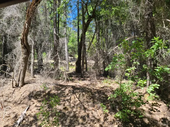 0 0 Pigeon Ridge Road, Covelo, CA 95428