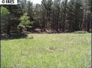 171 Jed Smith Rd, Ward, CO 80481