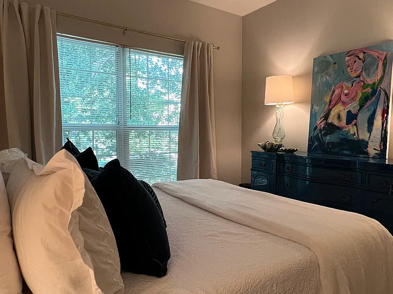 700 Daniel Ellis Dr #4208 — Photo 16