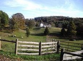 1131 White Creek Rd, Speedway, WV 24712