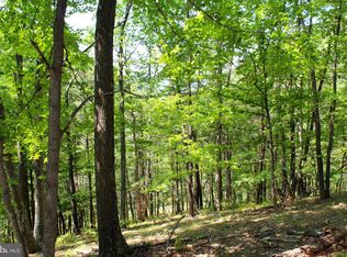 38 Williamsport Rd, Burlington, WV 26710