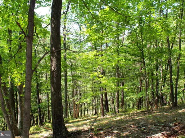 38 Williamsport Rd, Burlington, WV 26710