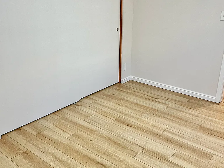 2nd Bedroom showing closet
