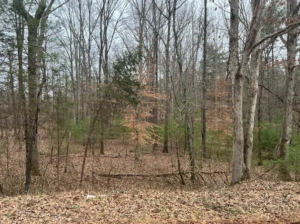 0 Elon Rd, Monroe, VA 24574
