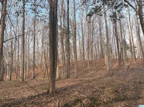 2 Truman Aldrich Pkwy #100, West Blocton, AL 35184