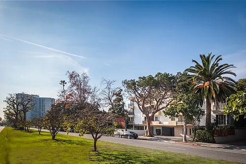 305 San Vicente Photo 1