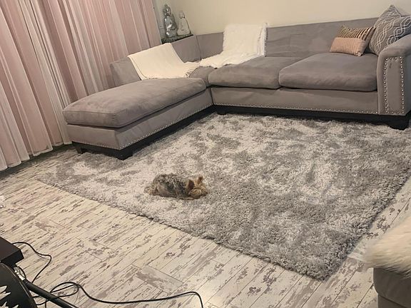 Partially furnished during move out