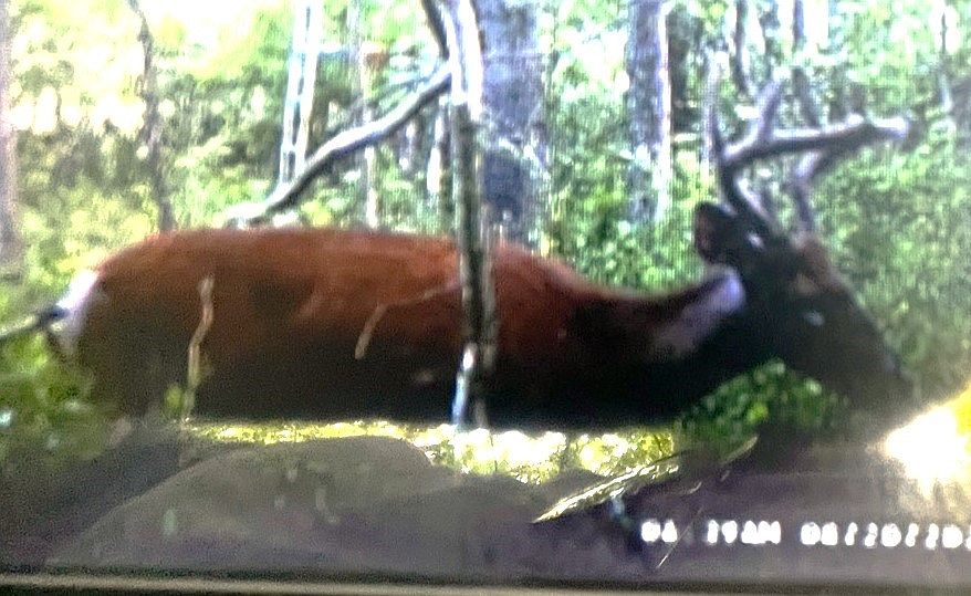 LOT 25.11 Redman Rd 25, Brockport, NY 14420 MLS R1496655 Zillow