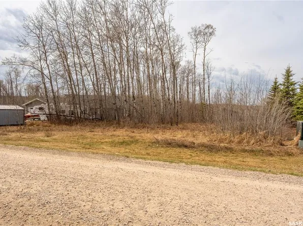 520 Diamond Willow DRIVE, Goodsoil, SK S0M 1A0