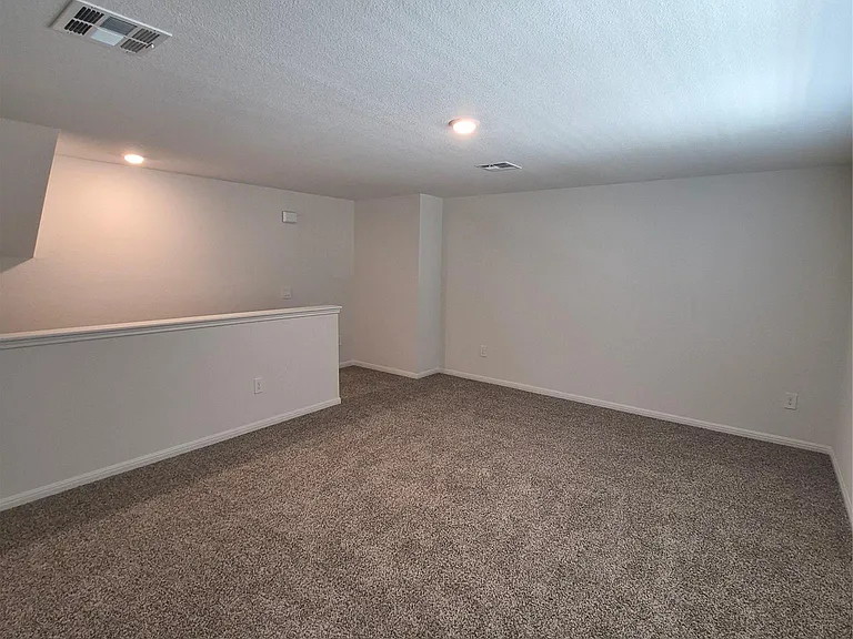 1816 Dandy Brush Dr — Photo 37