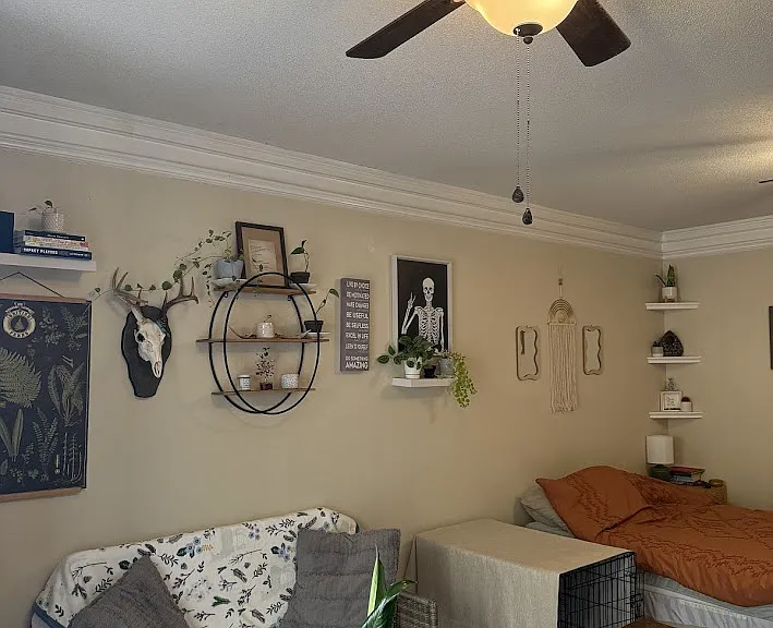 1185 Johnson Rd #STUDIO — Photo 15