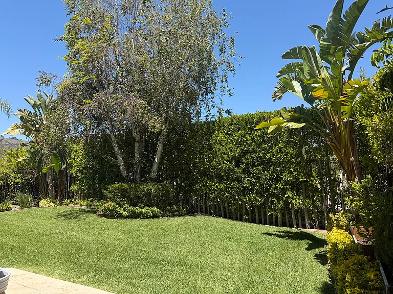 24675 Vista Cerritos — Photo 46