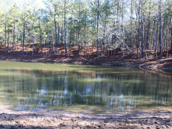 0 State Highway 341 N, Roberta, GA 31078