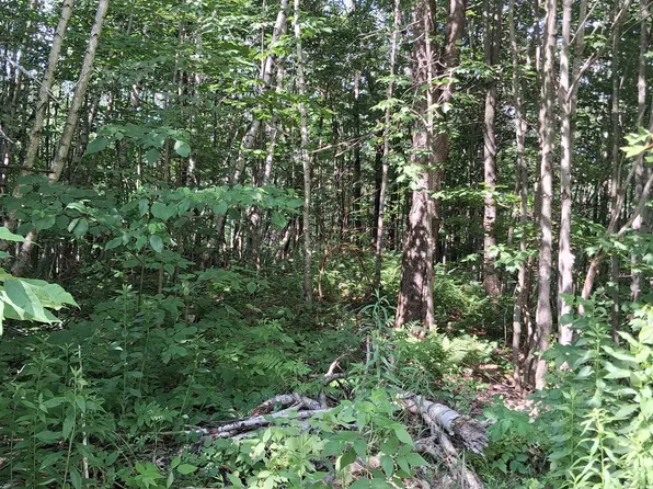 Lot 2 Ballground Road #2, Westfield, VT 05874