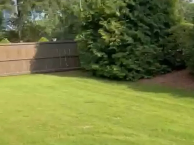 Lush maintained backyard to utilize